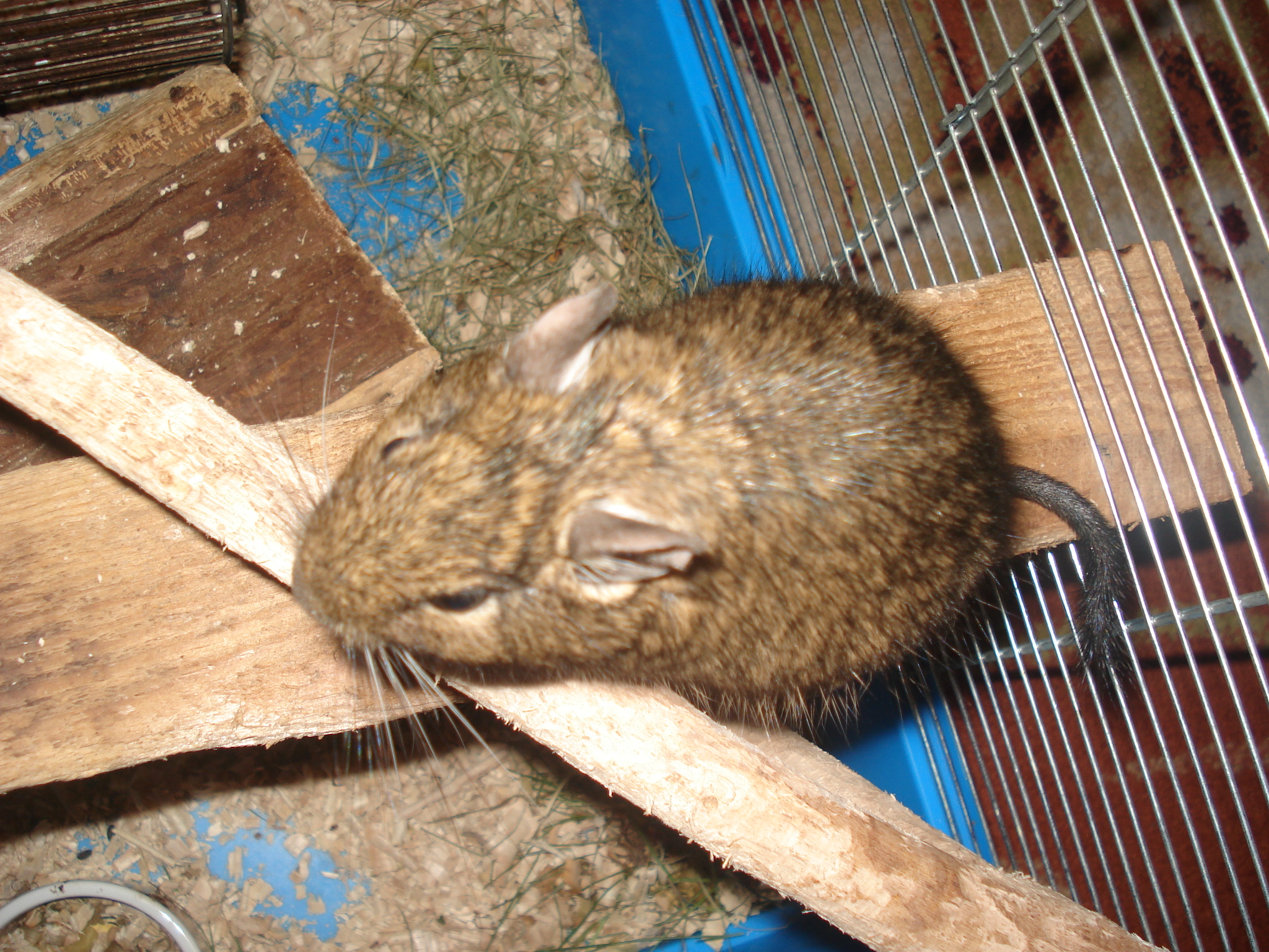 DSC06717.JPG