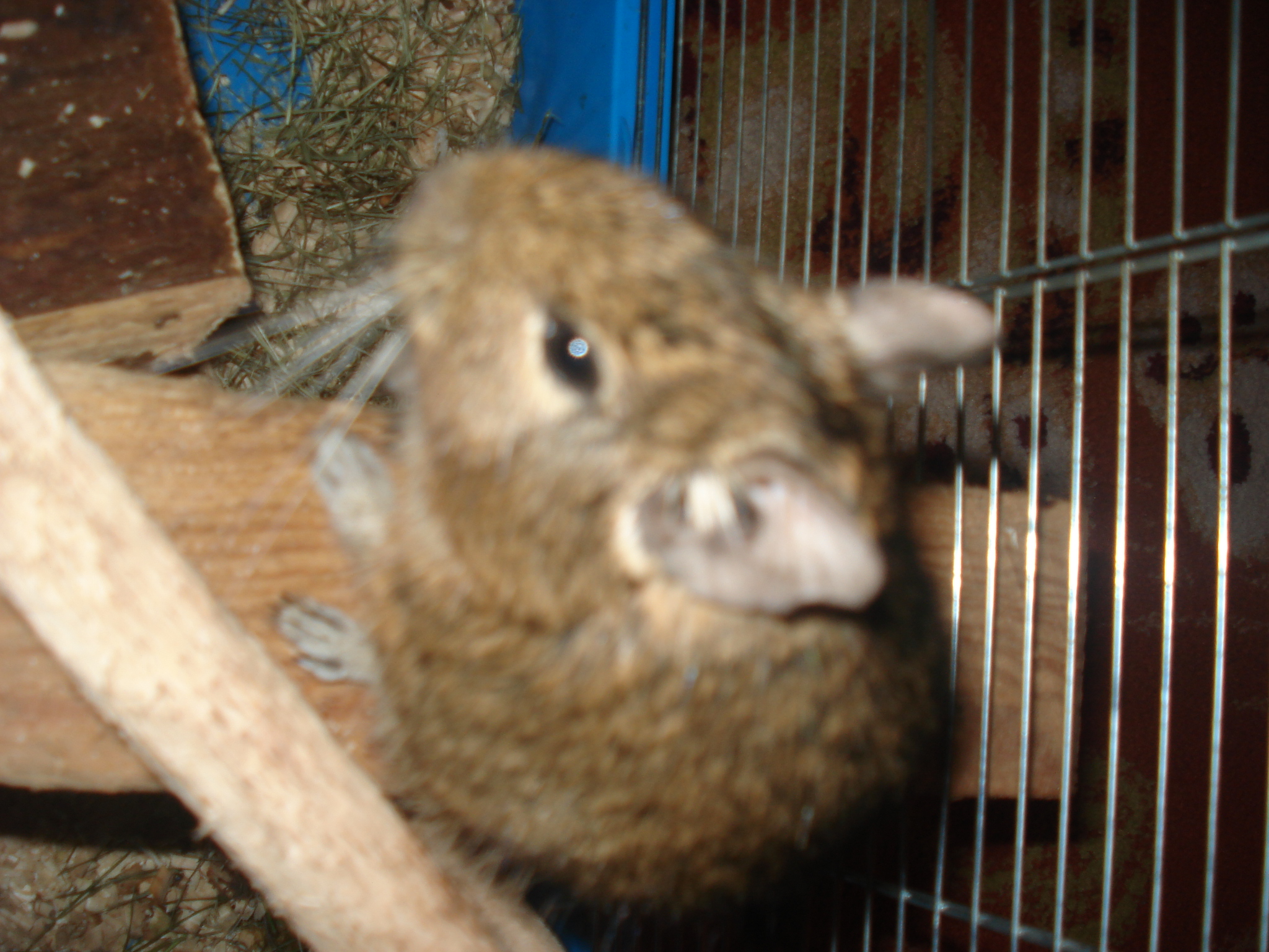 DSC06725.JPG