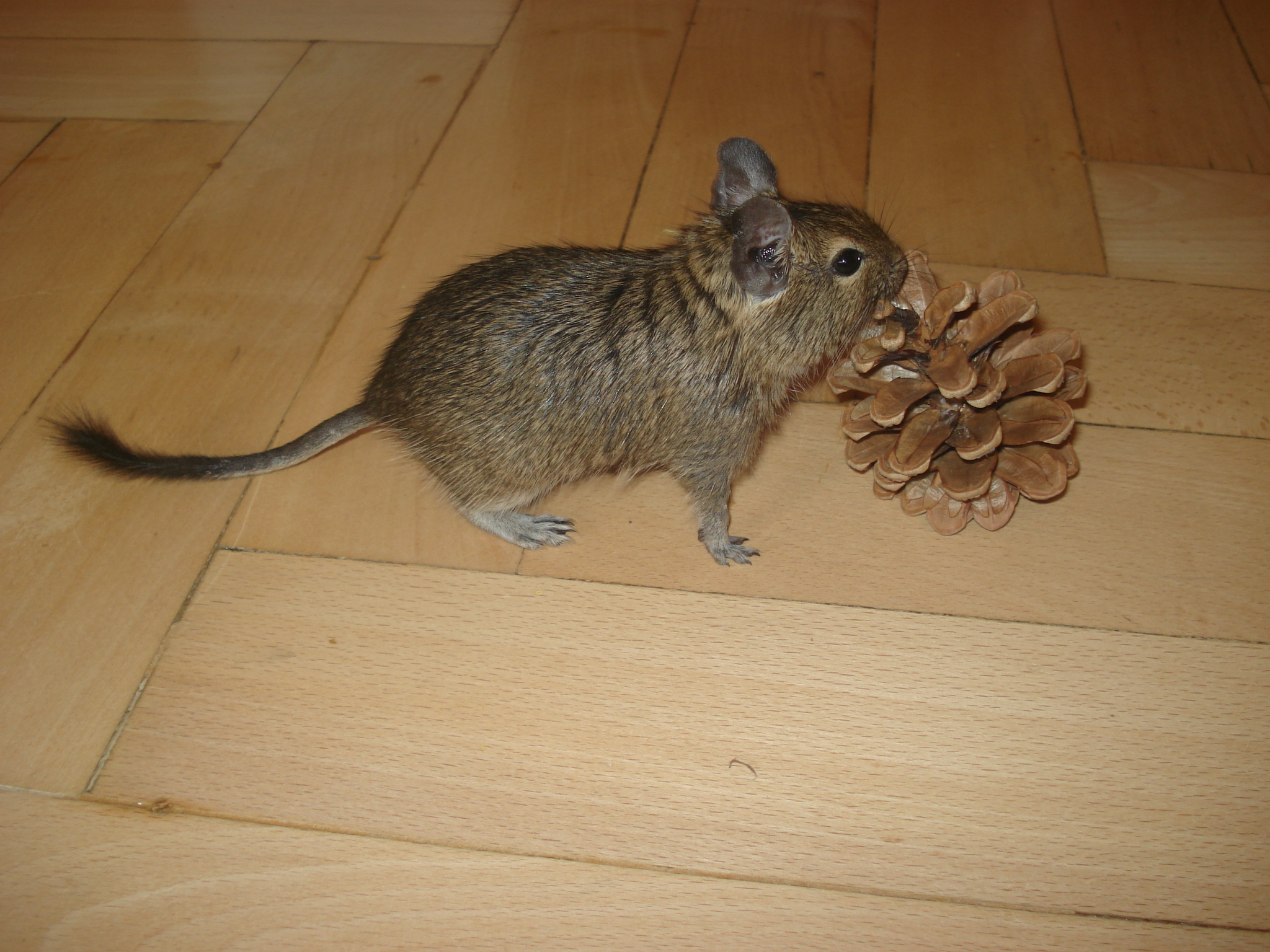 DSC05136.JPG