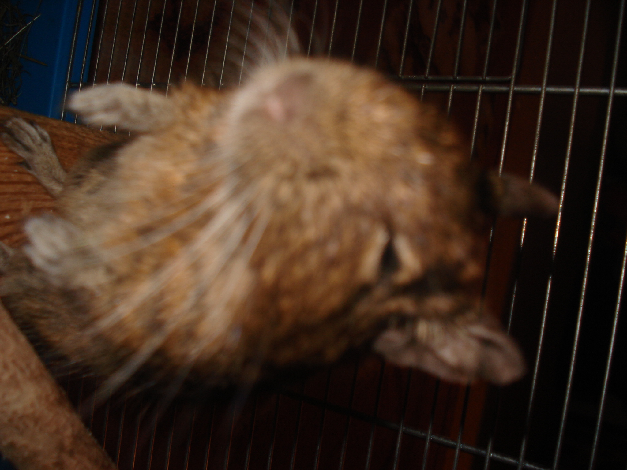 DSC06724.JPG