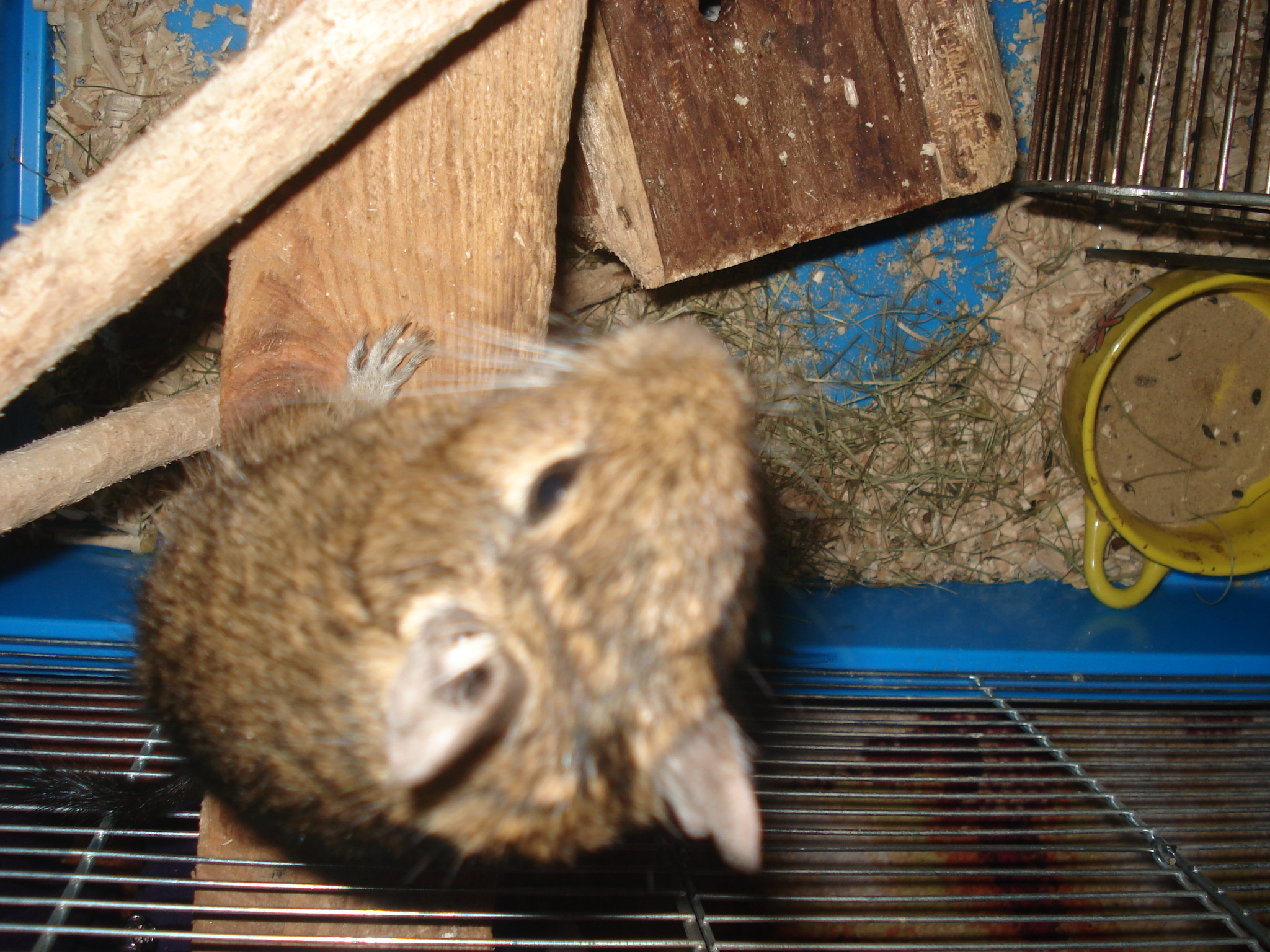 DSC06716.JPG