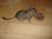 DSC05136.JPG